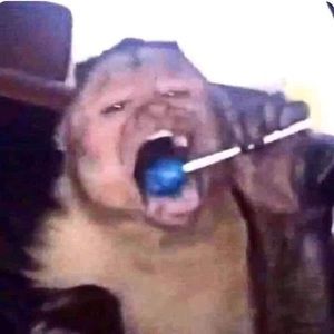 Meet your Posher, Camila